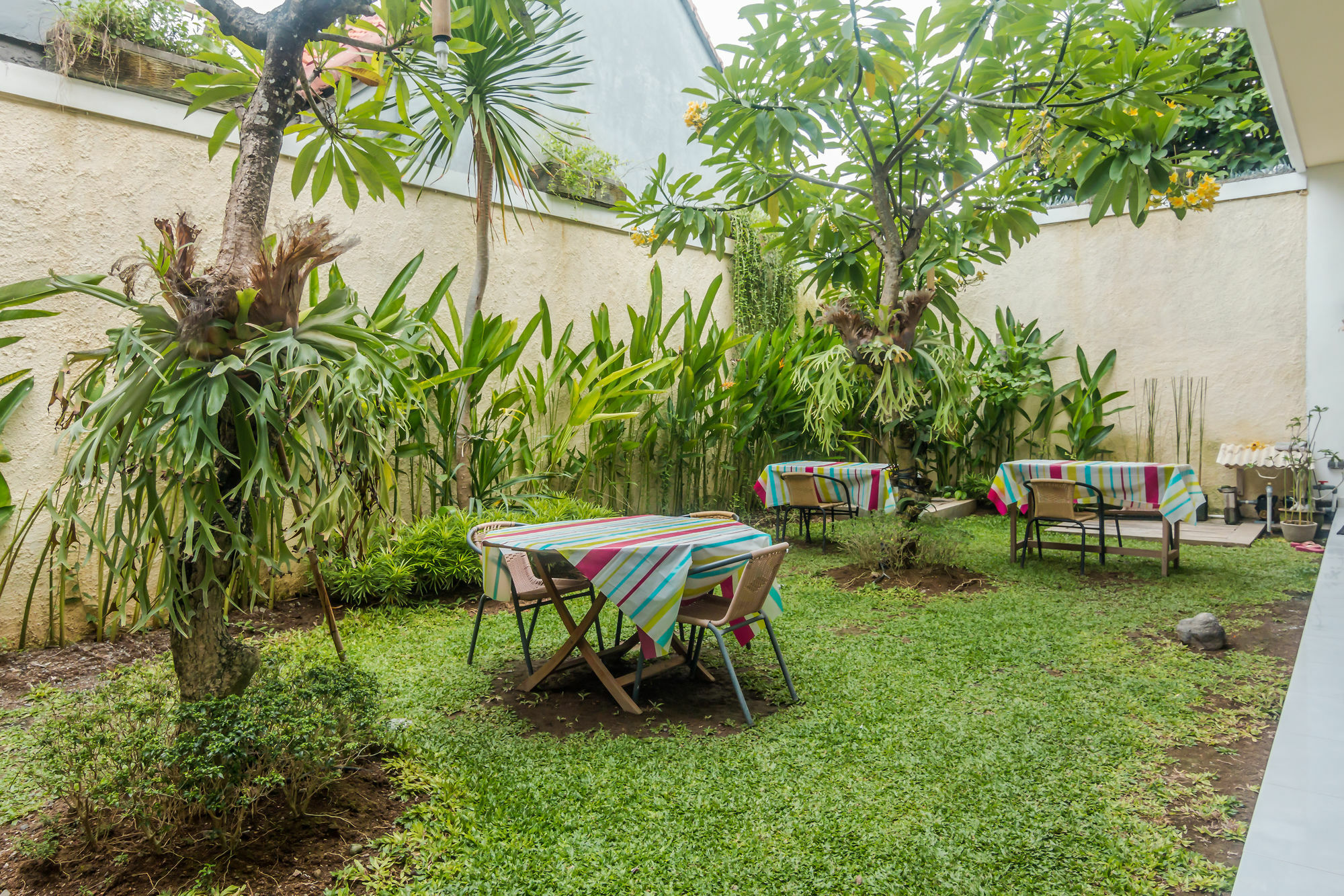 Zen Rooms Denpasar Mertasari מראה חיצוני תמונה